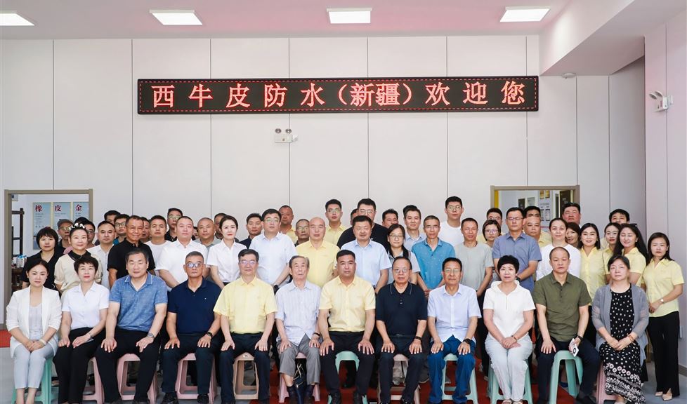 西牛皮，在新疆，排頭兵，一定行！
